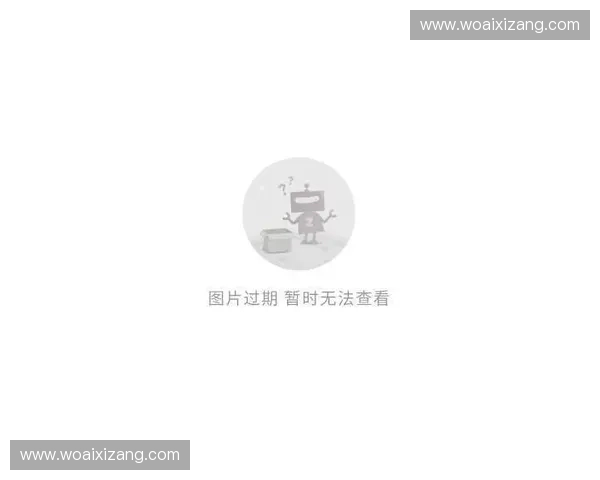 LOL法抗模拟系统设计与优化研究及其对游戏平衡的影响分析